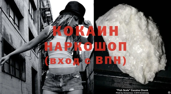 хмурый Алексин