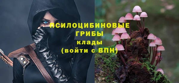Альфа ПВП Армянск